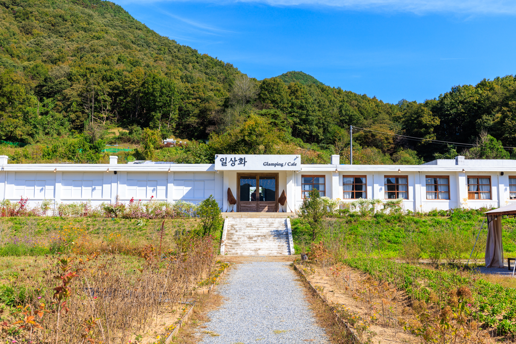 일상화 글램핑