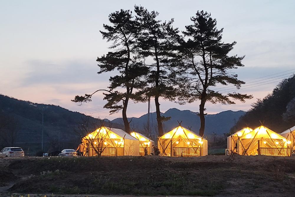 일상화 글램핑