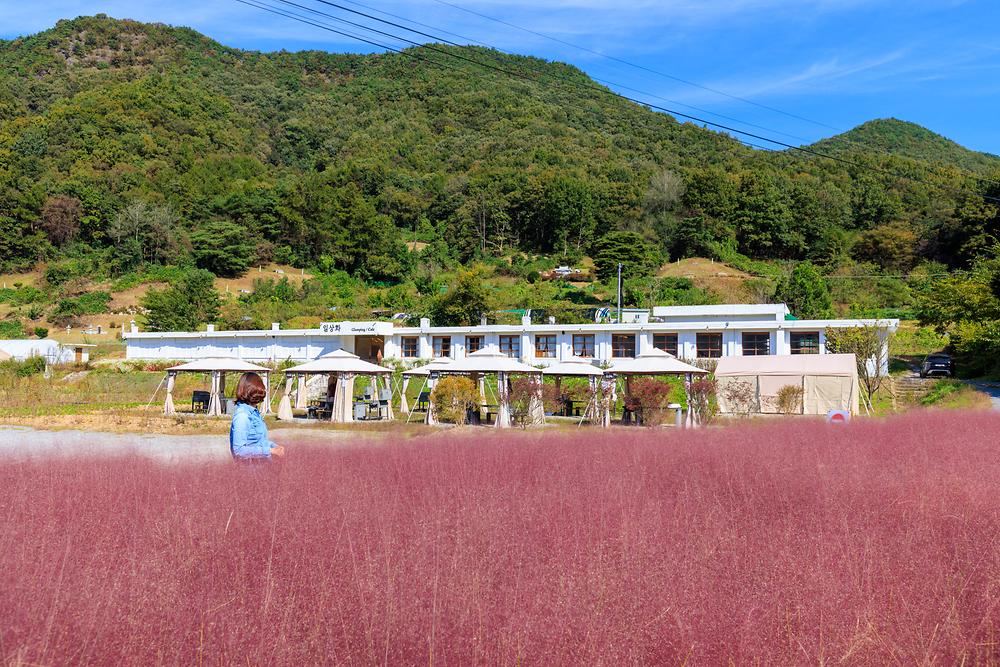 일상화 글램핑