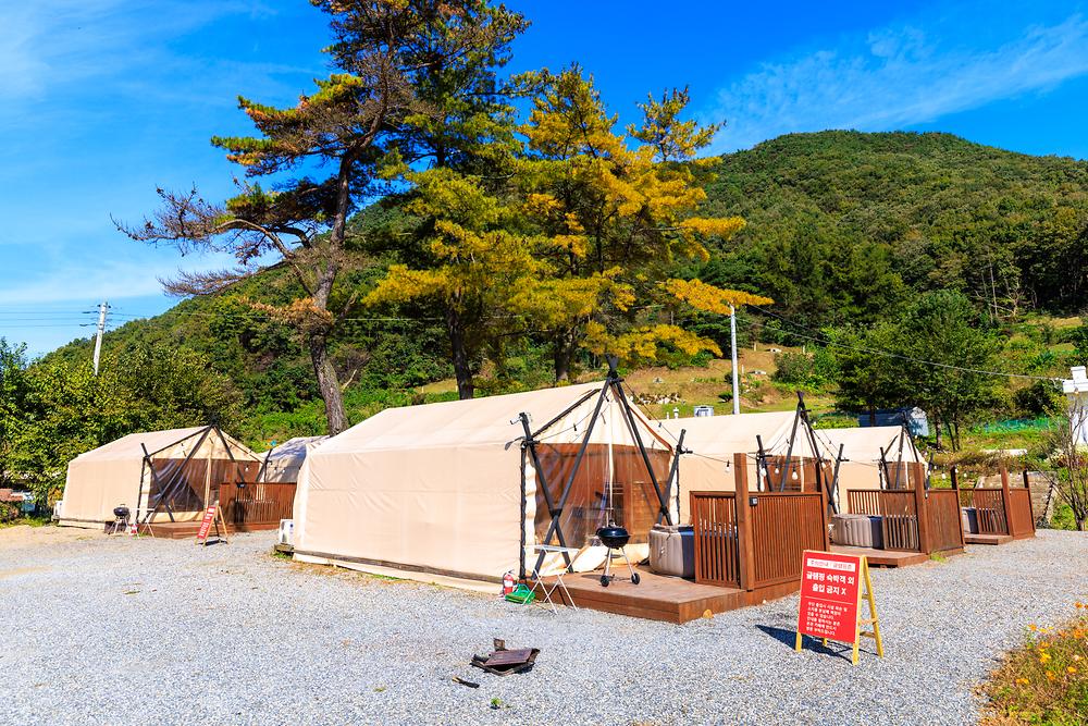 일상화 글램핑