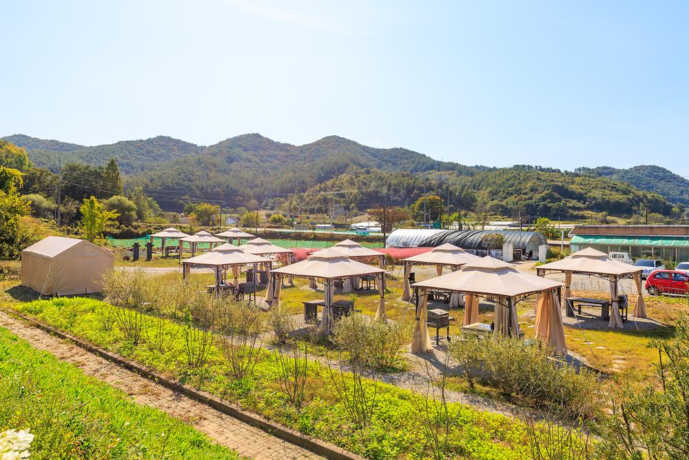 일상화 글램핑