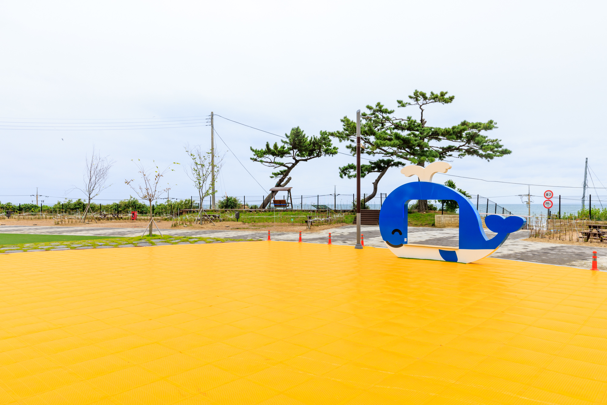 경상북도교육청 영덕오토캠핑장