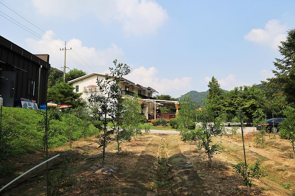 초리풍경