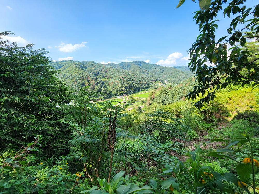 가평 오블리비아테 수영장 펜션&카라반