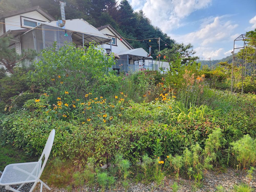 가평 오블리비아테 수영장 펜션&카라반