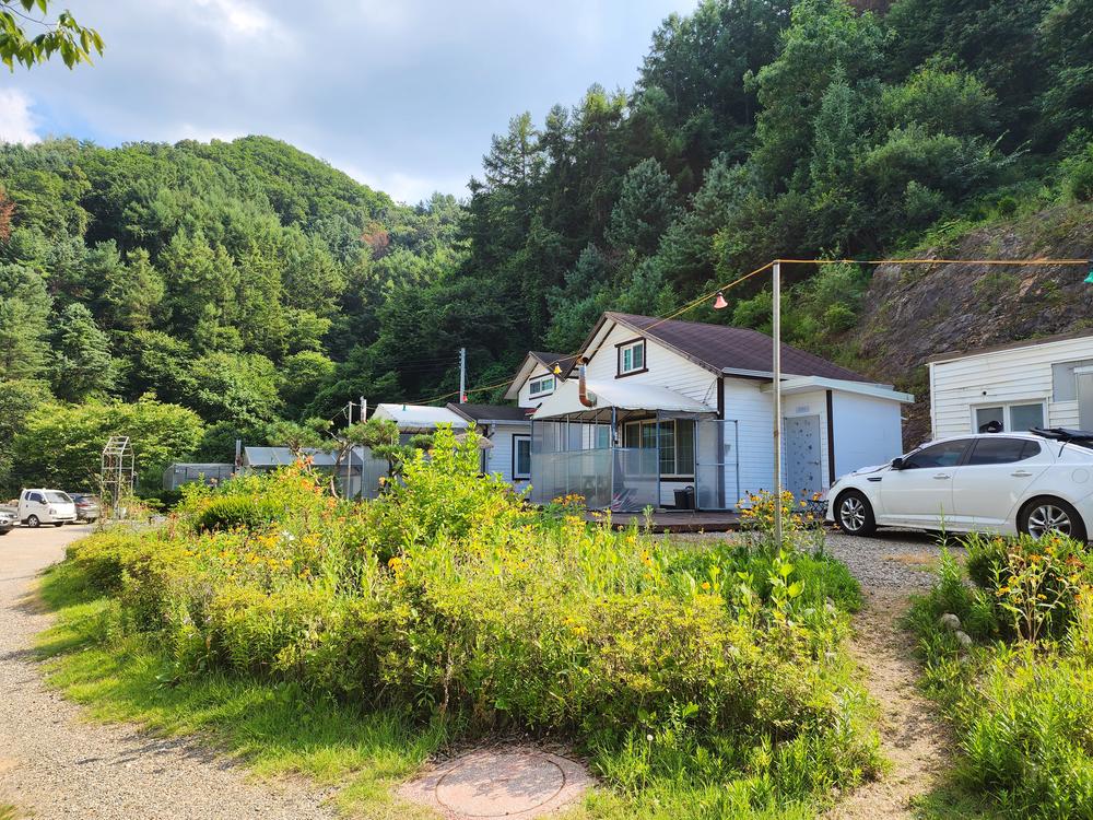 가평 오블리비아테 수영장 펜션&카라반