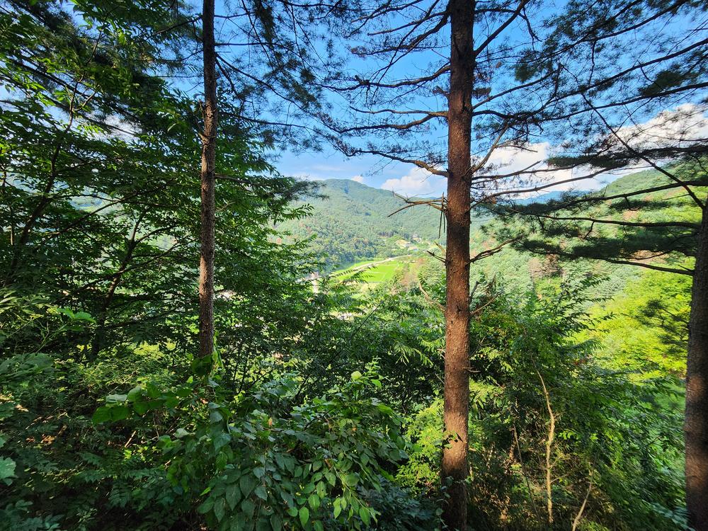 가평 오블리비아테 수영장 펜션&카라반
