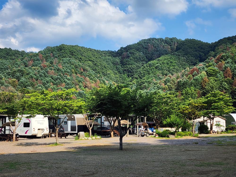 가평 오블리비아테 수영장 펜션&카라반