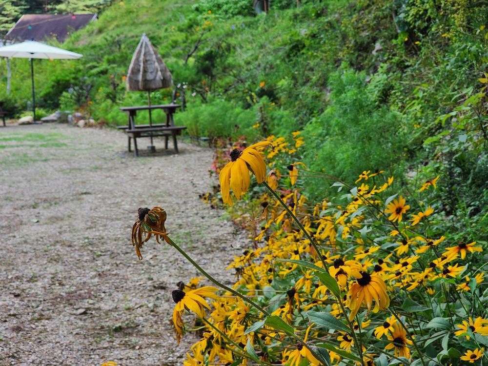 가평 오블리비아테 수영장 펜션&카라반