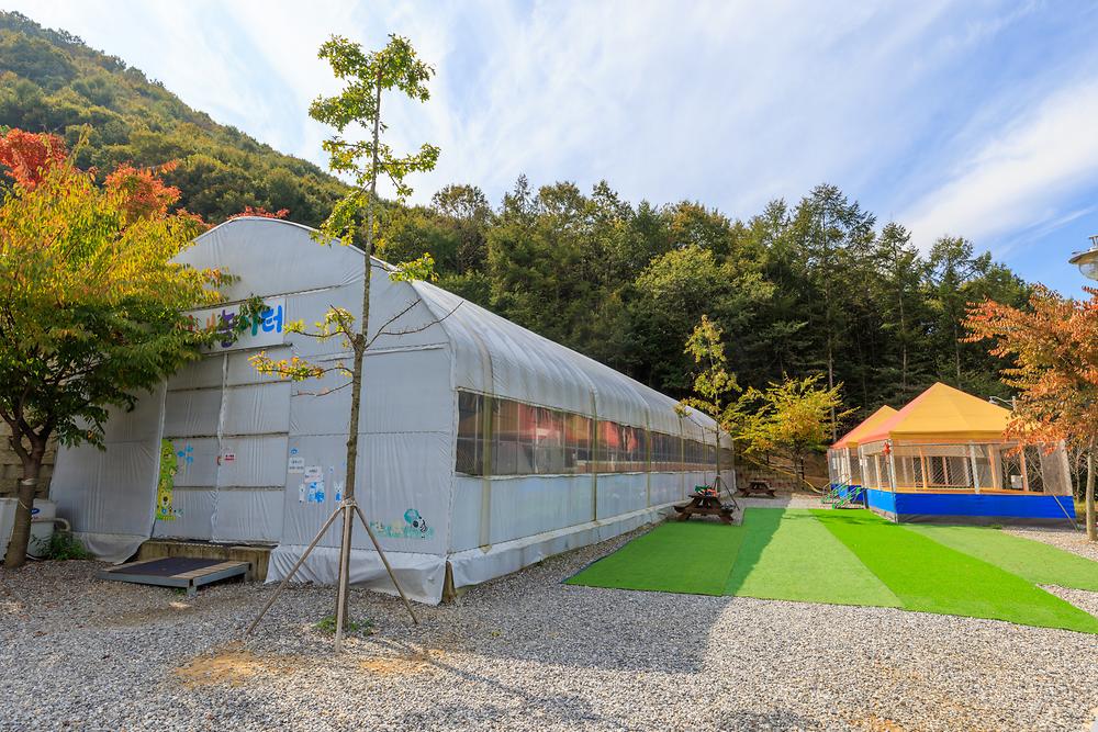 진천포레스트캠핑장