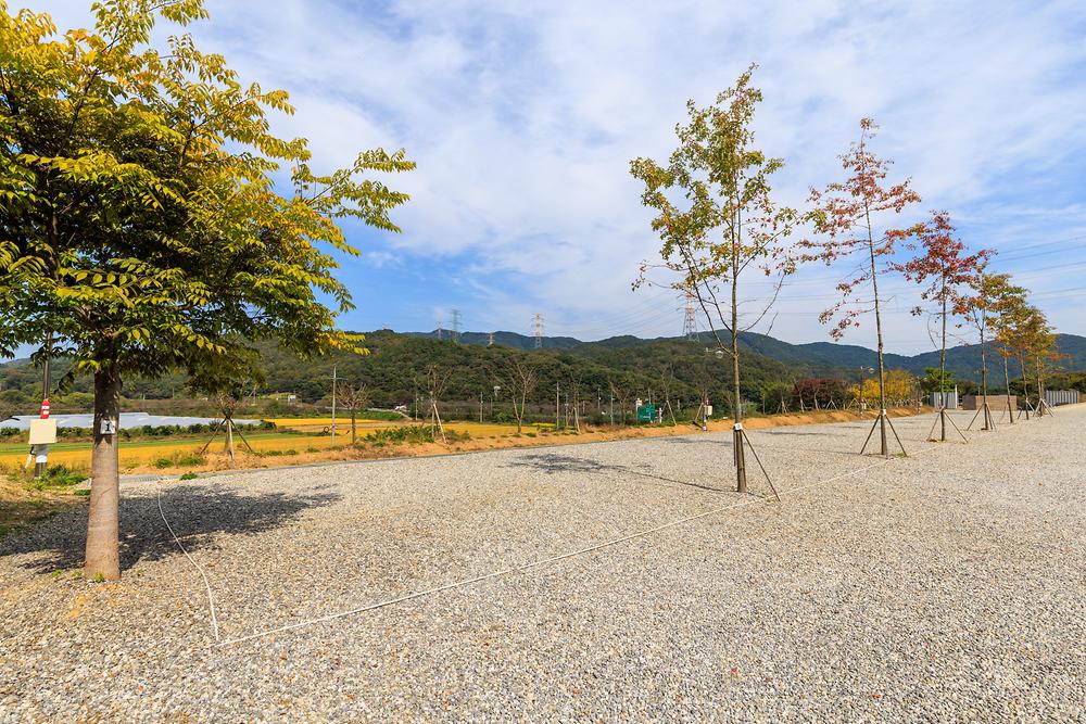 진천포레스트캠핑장
