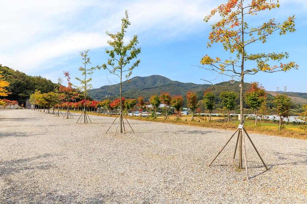 진천포레스트캠핑장