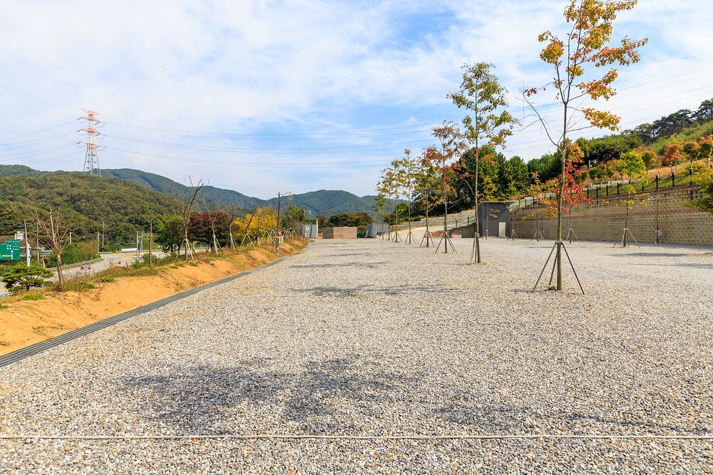 진천포레스트캠핑장