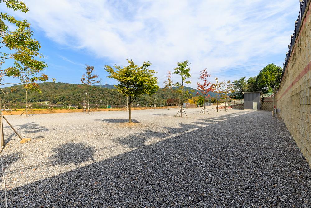진천포레스트캠핑장