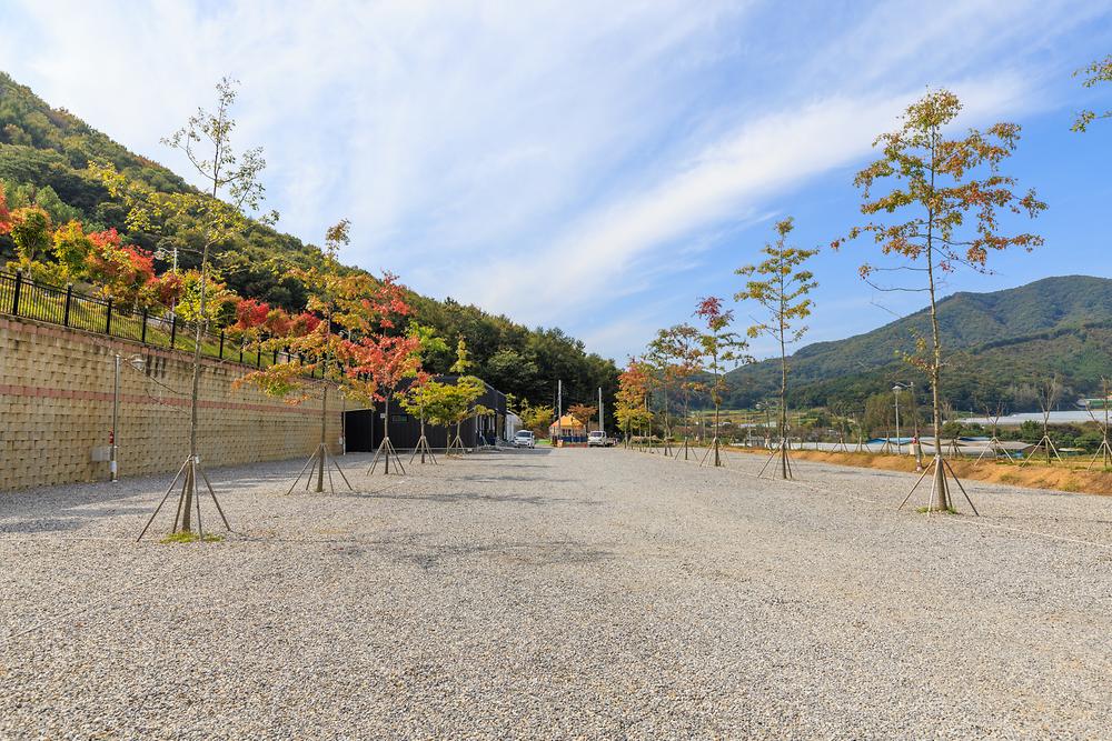 진천포레스트캠핑장
