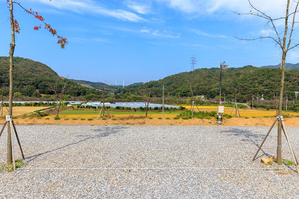진천포레스트캠핑장
