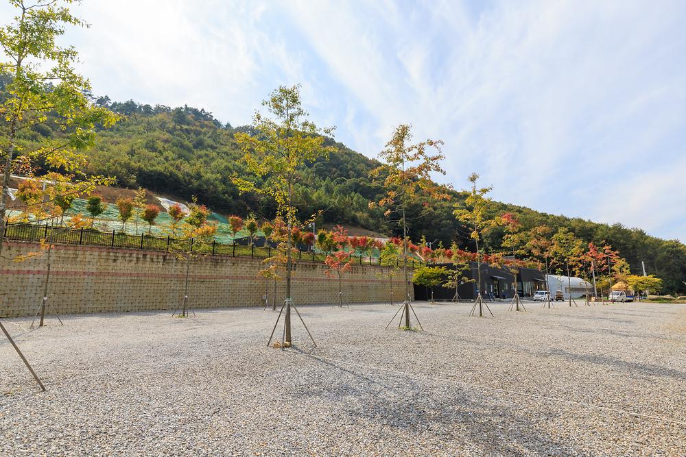진천포레스트캠핑장