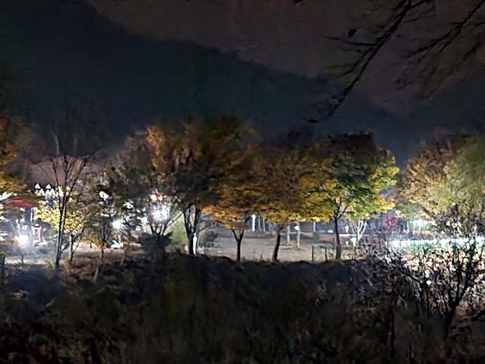 더 하루만 캠핑장