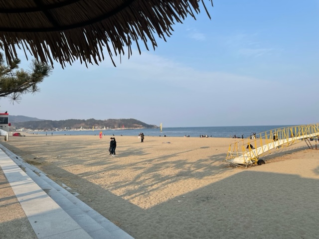 나정고운모래해변 오토캠핑장