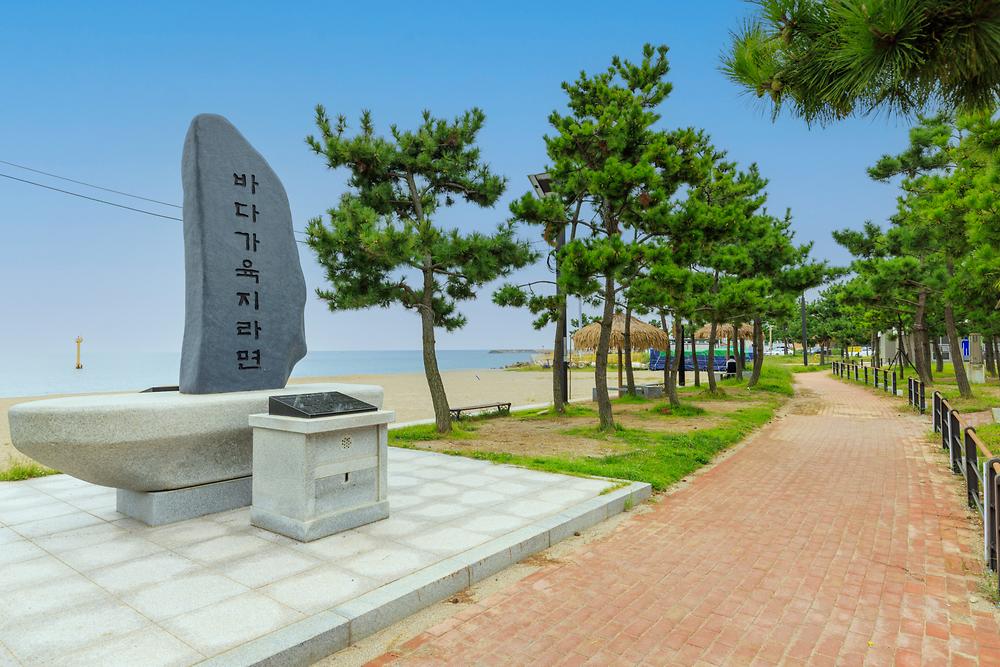 나정고운모래해변 오토캠핑장