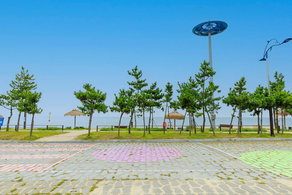 나정고운모래해변 오토캠핑장