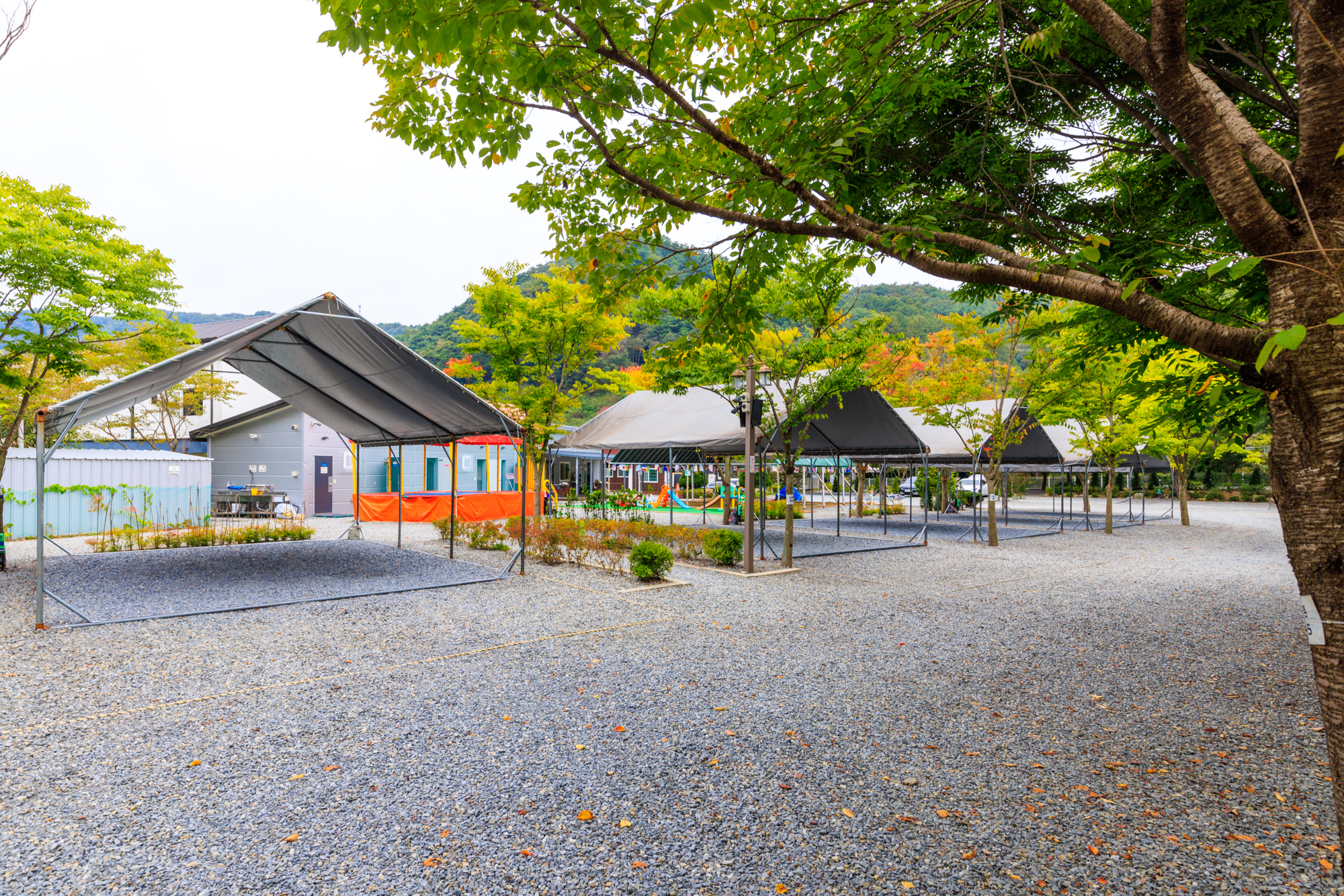 솔내음캠핑장