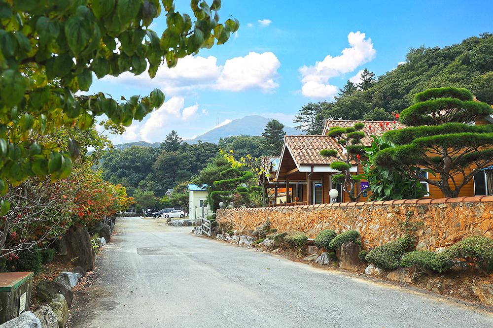 주원캠핑장