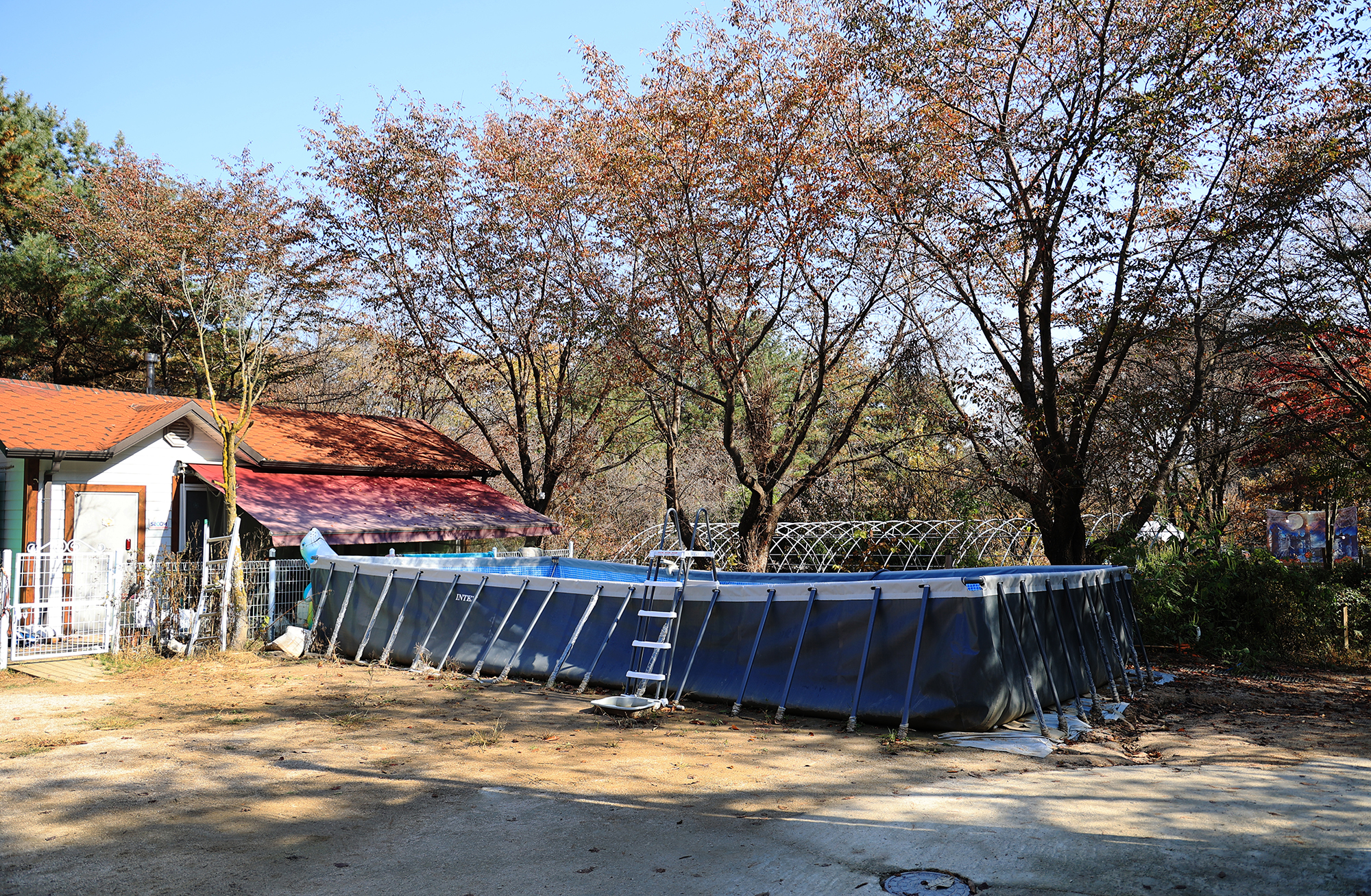 위드독스in포천