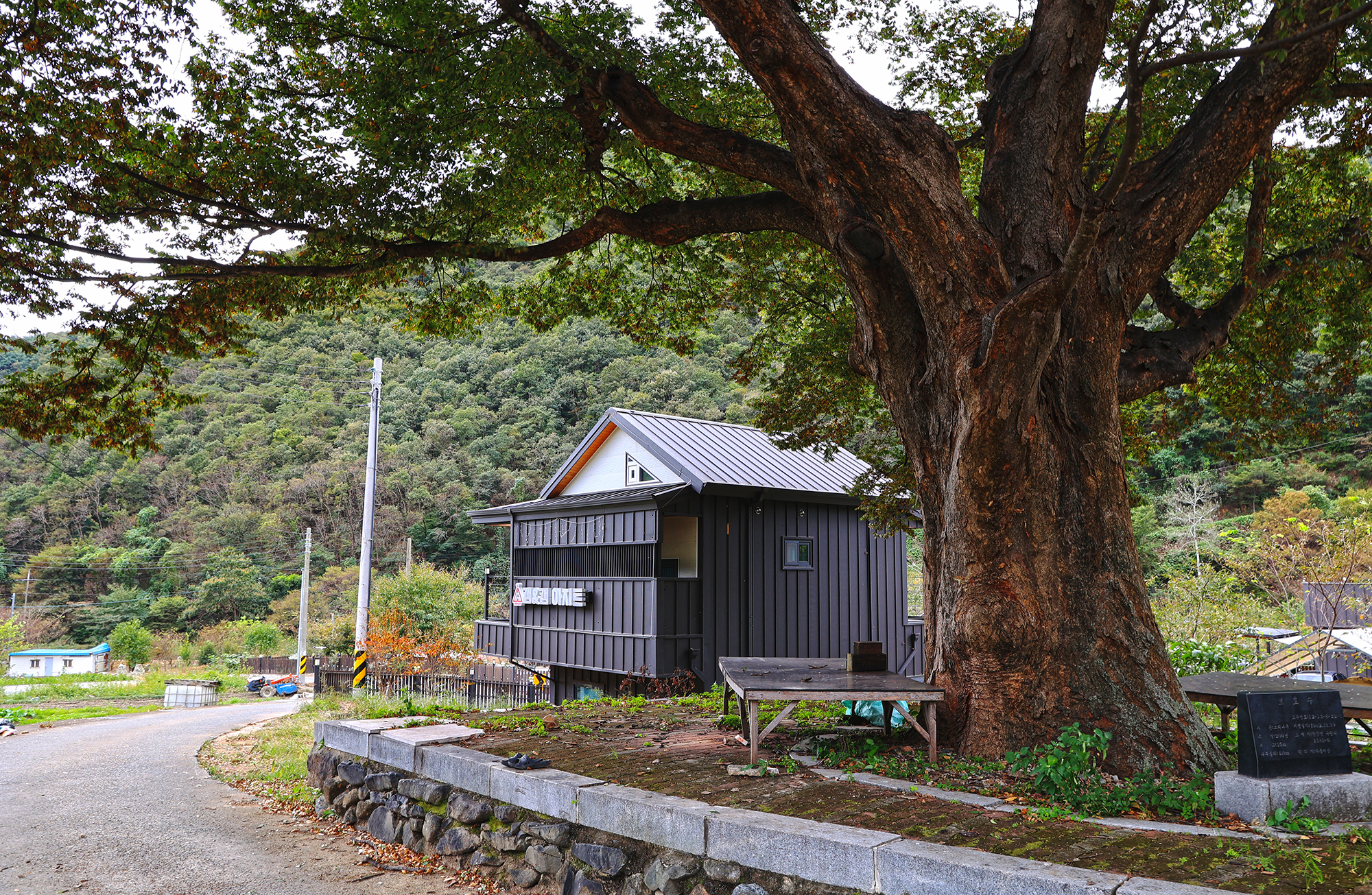 캠앤캠아지트