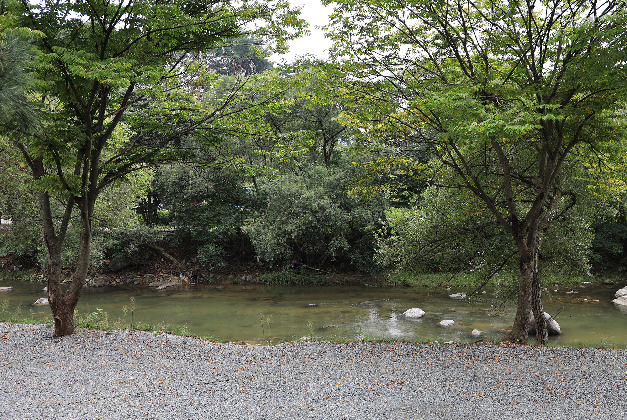 양평온누리캠핑장