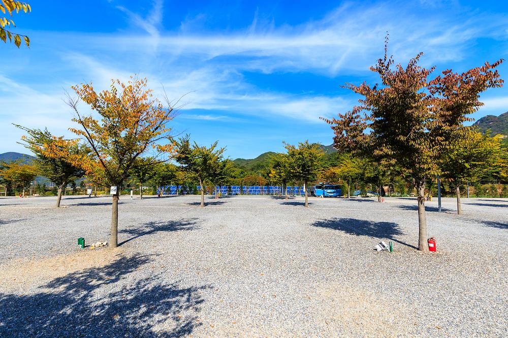 속리산365캠핑장