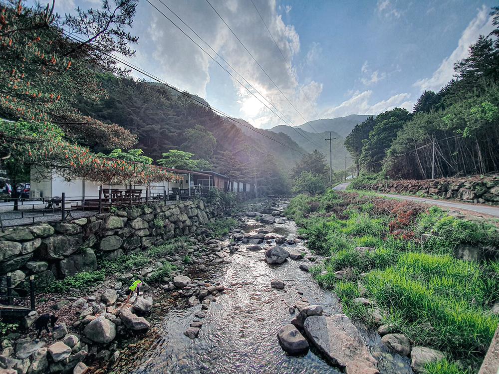 영월 엄둔밸리 계곡캠핑장 