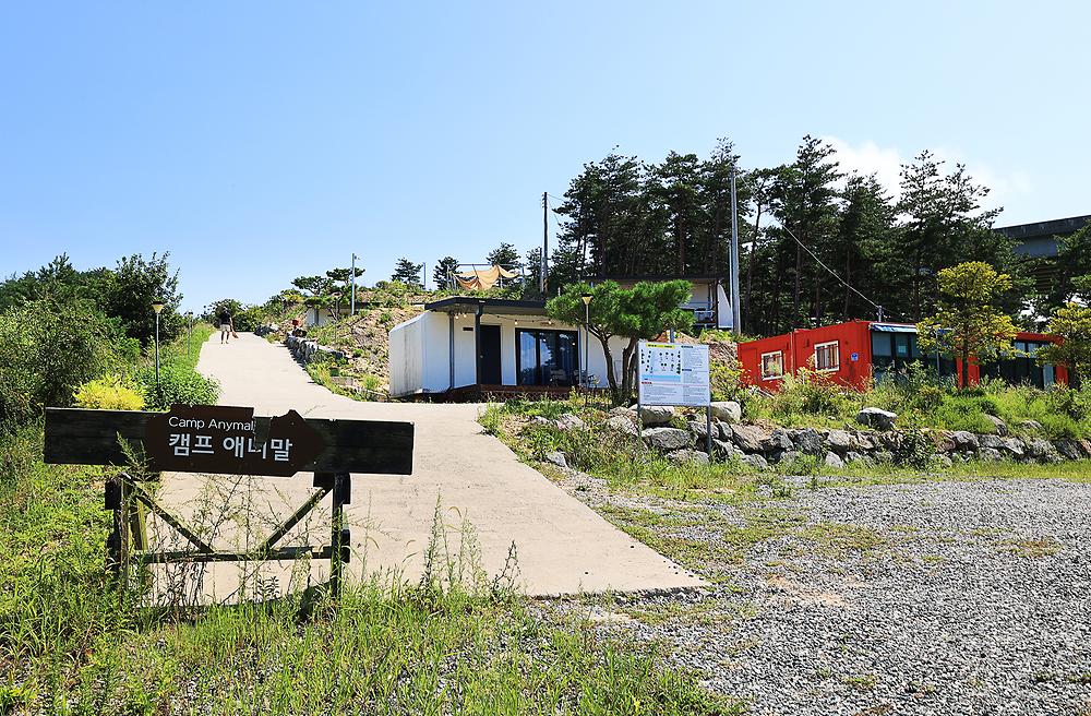 캠프 애니말
