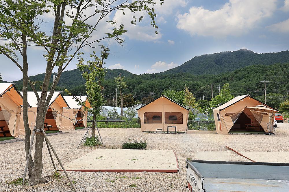 고성 탑 글램핑 농원