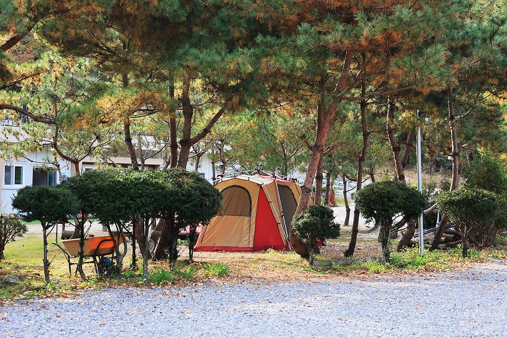달사랑 캠핑장