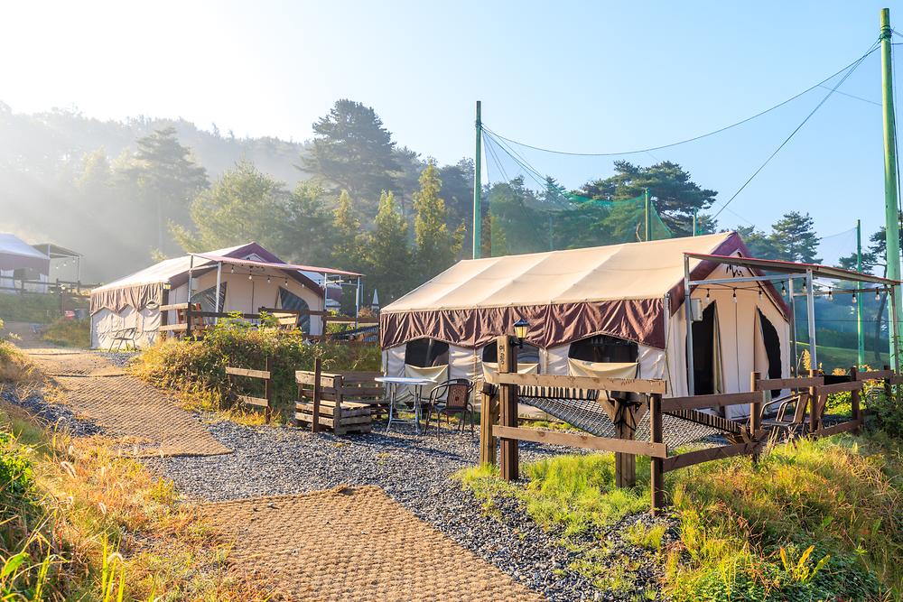 토마스캠프&레드캐빈
