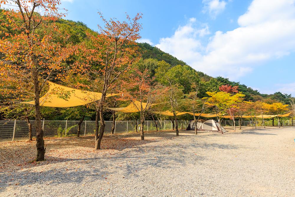 오솔길 오토 캠핑장