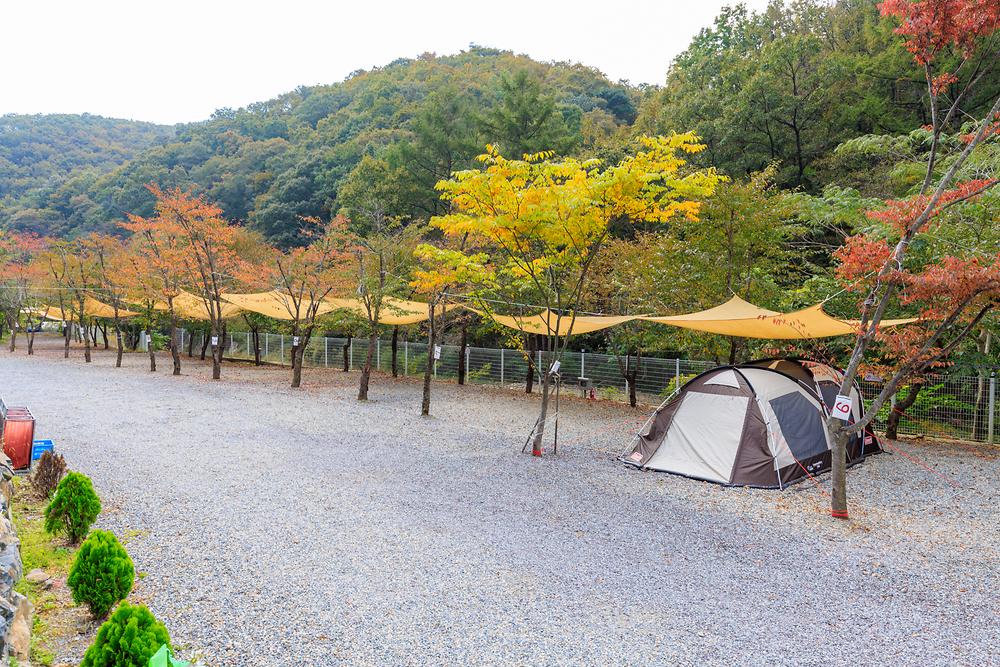 오솔길 오토 캠핑장