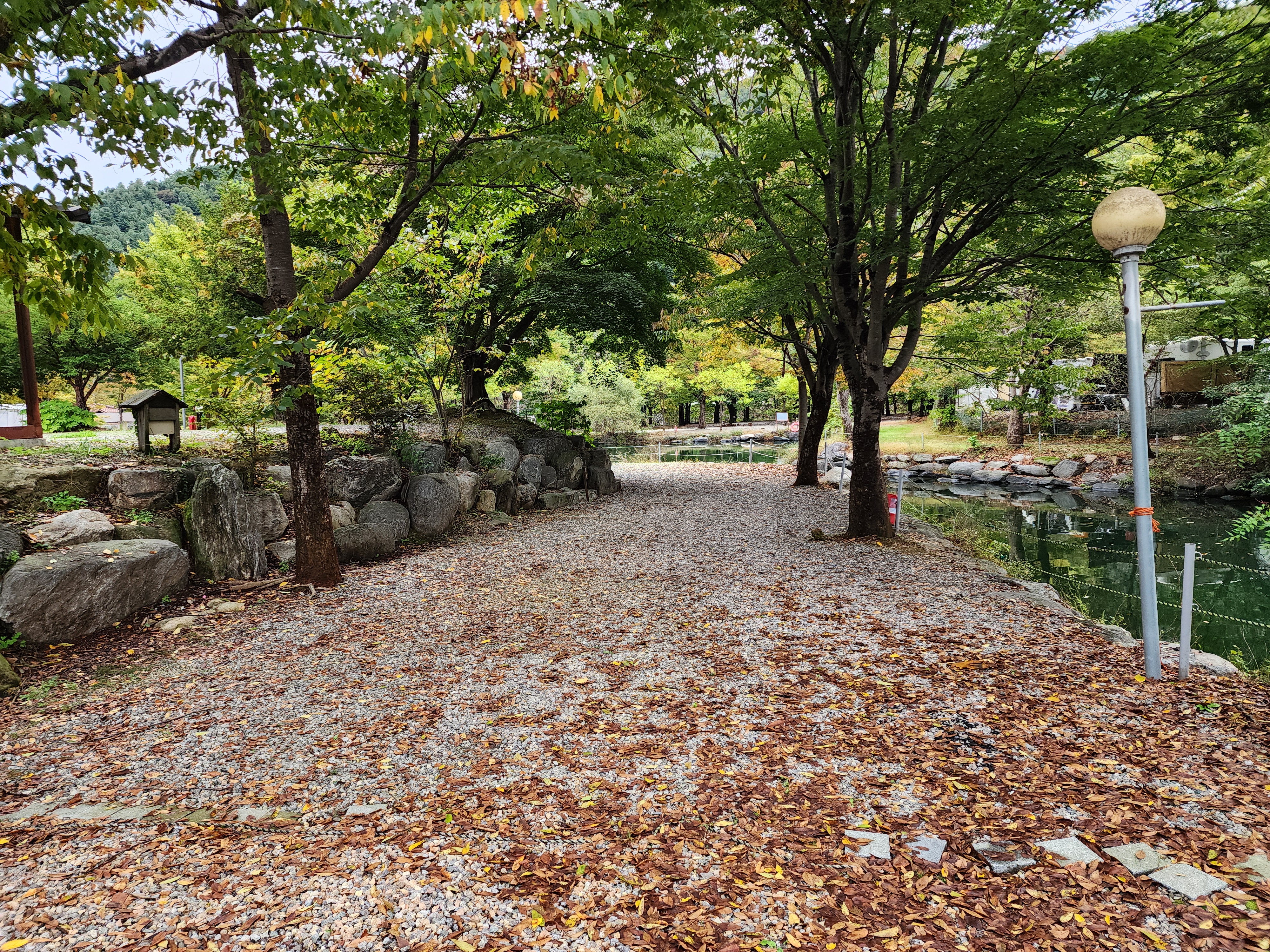 유명산밸리 캠핑장