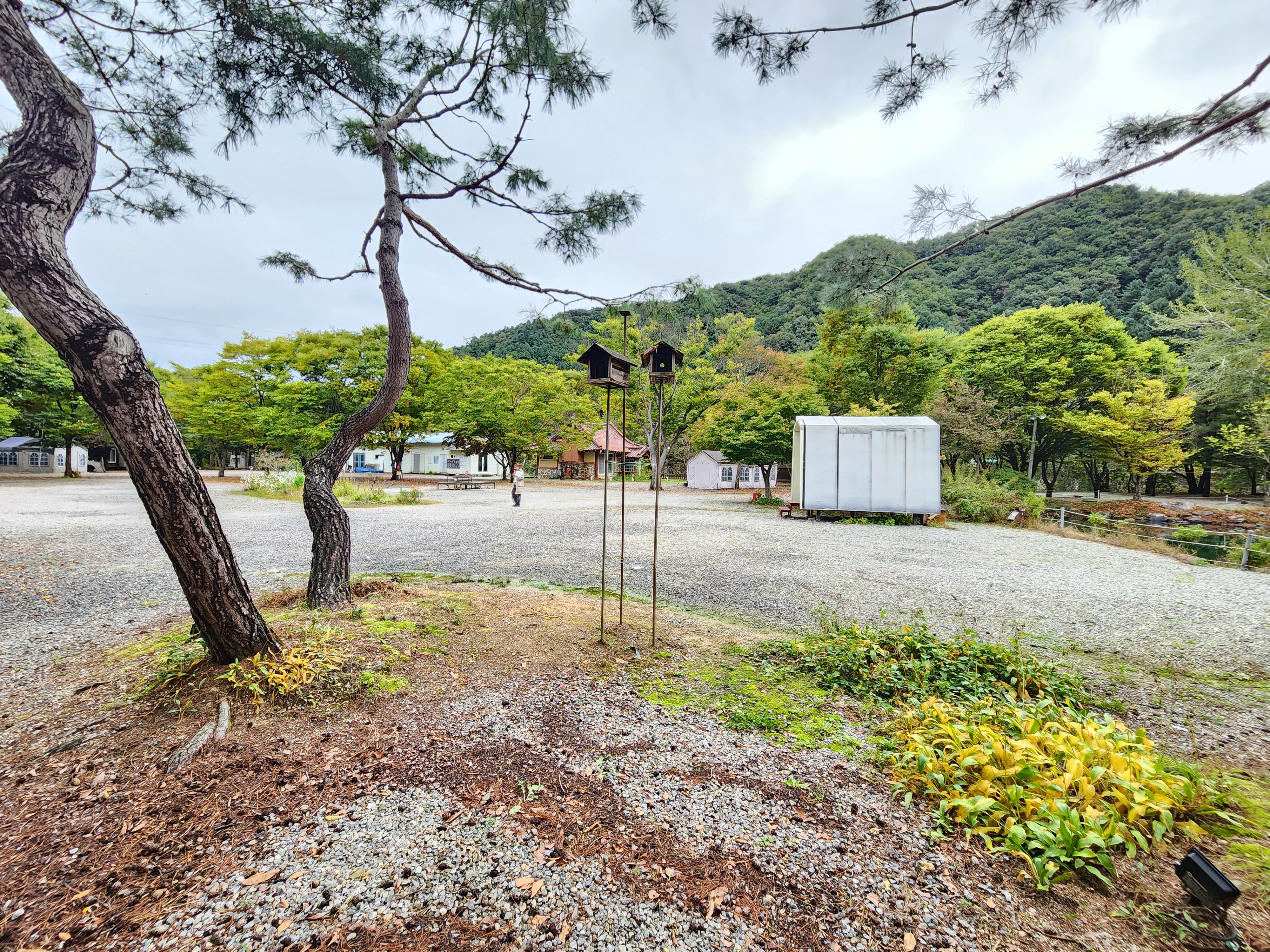 유명산밸리 캠핑장
