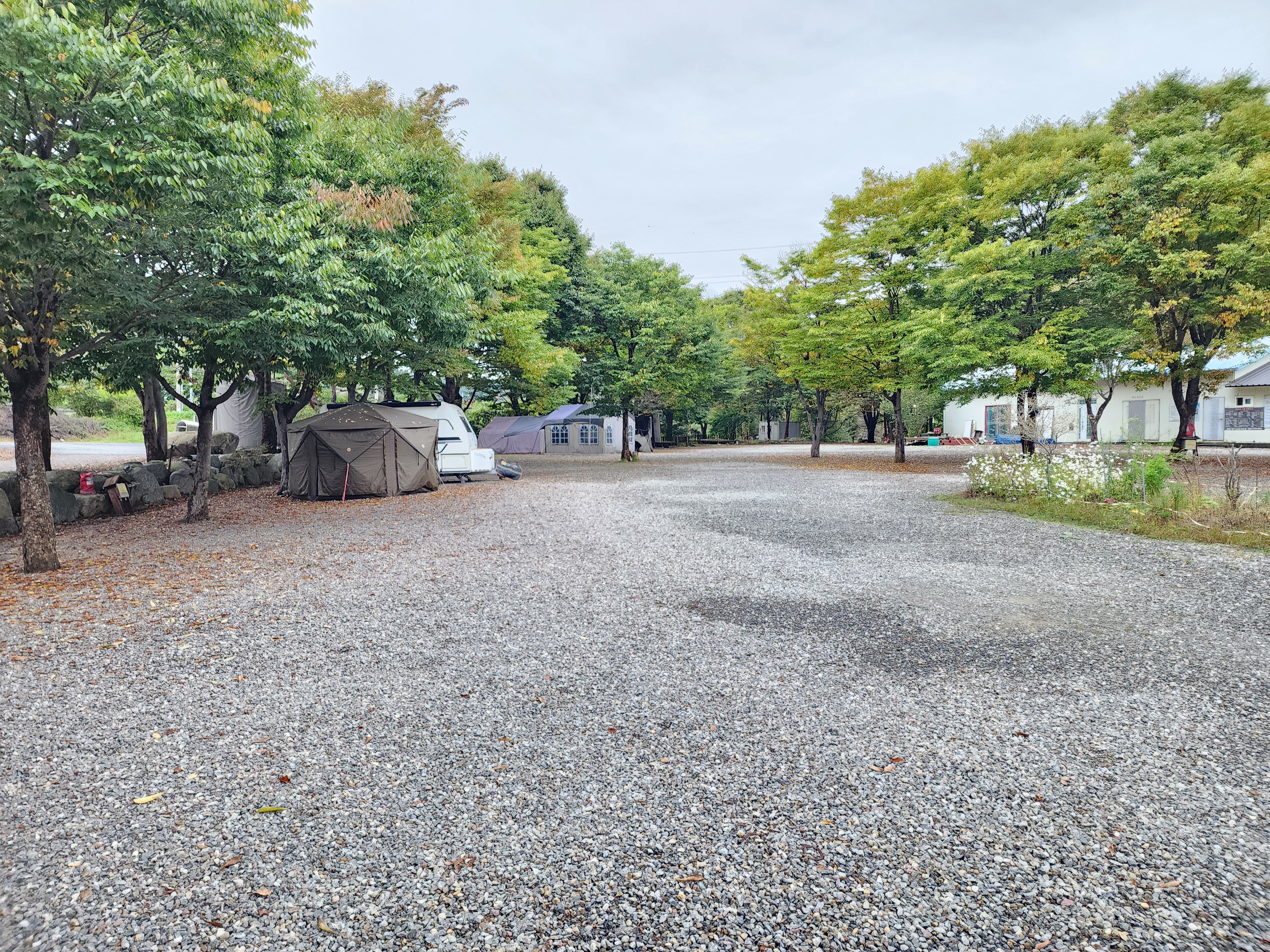 유명산밸리 캠핑장