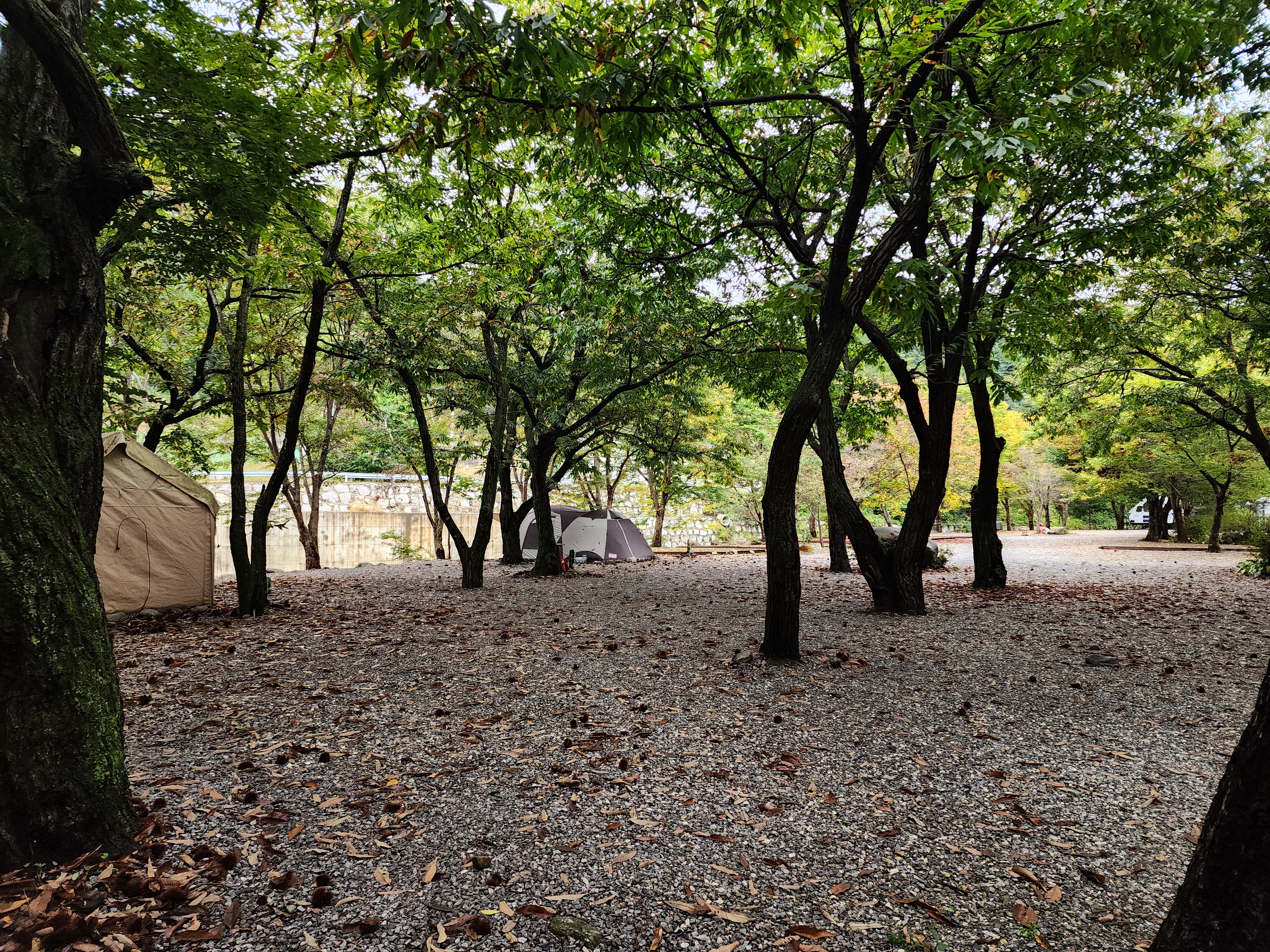 유명산밸리 캠핑장