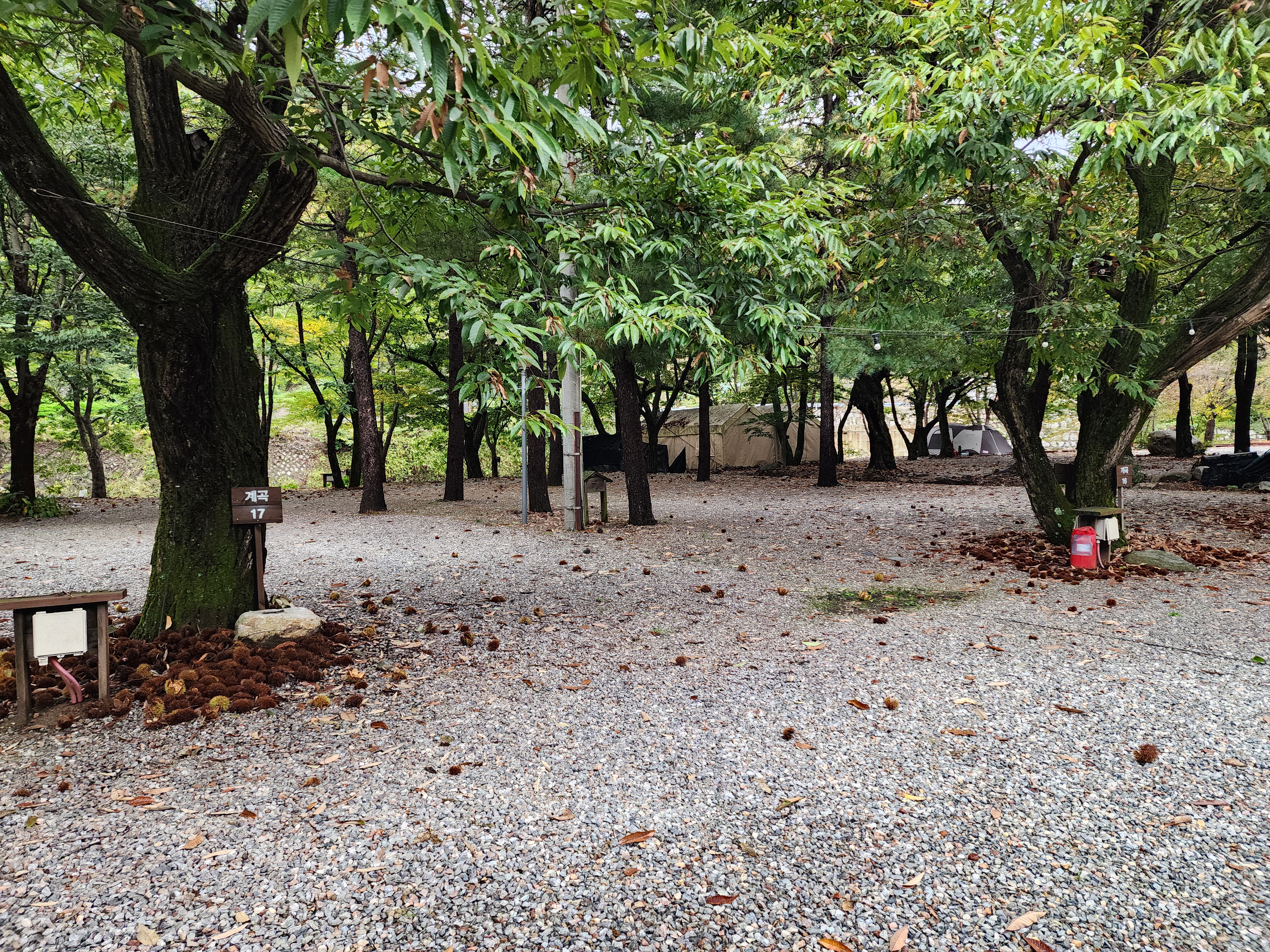 유명산밸리 캠핑장