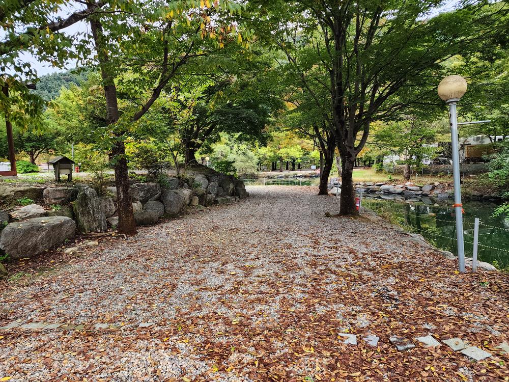 유명산밸리 캠핑장