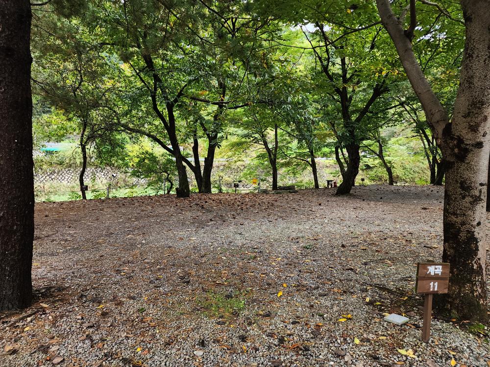 유명산밸리 캠핑장