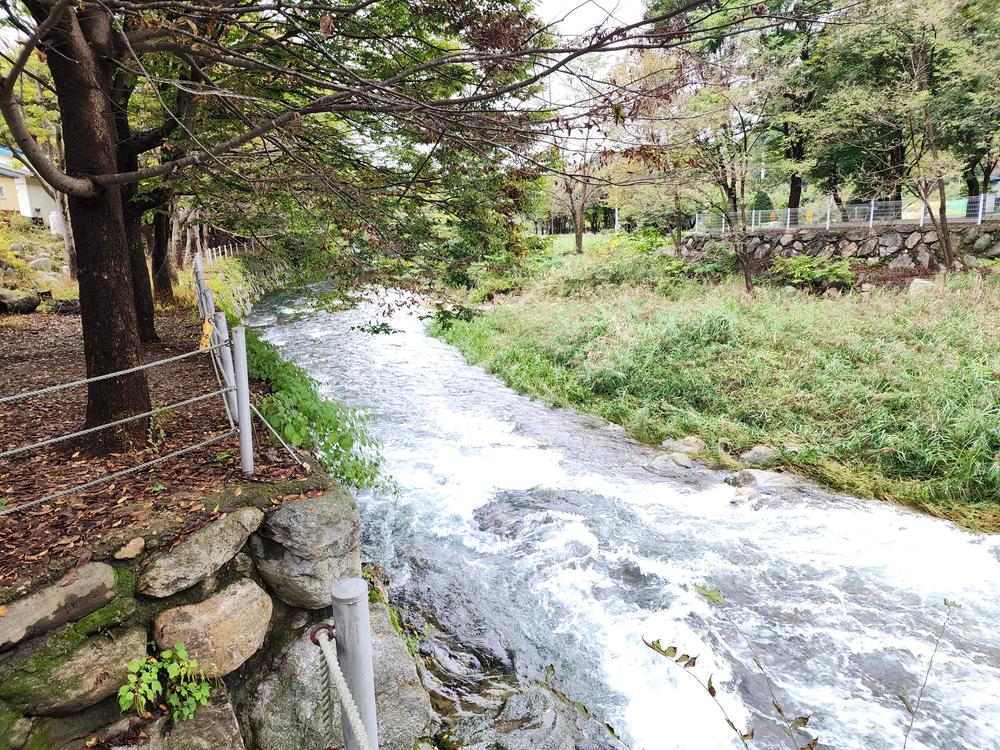 유명산밸리 캠핑장