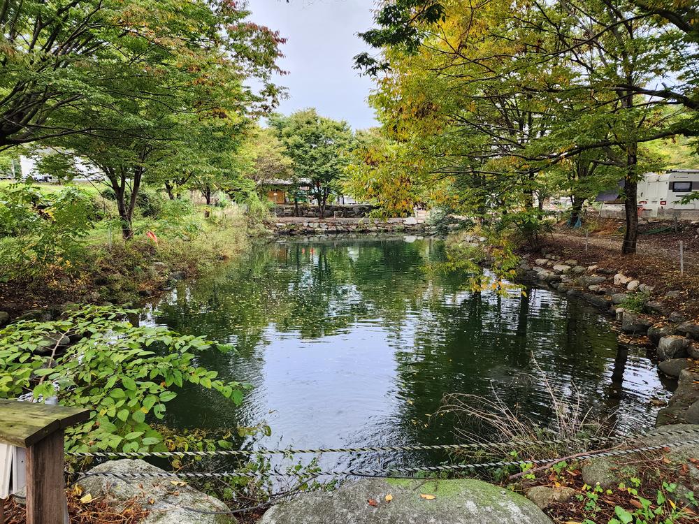 유명산밸리 캠핑장