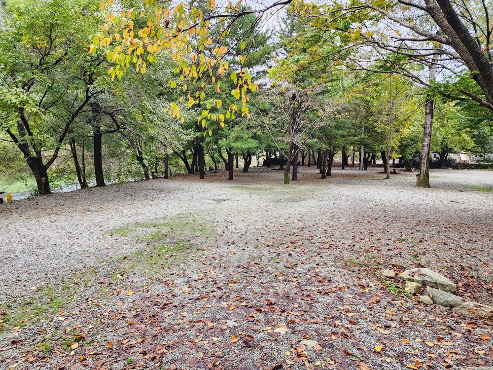 유명산밸리 캠핑장