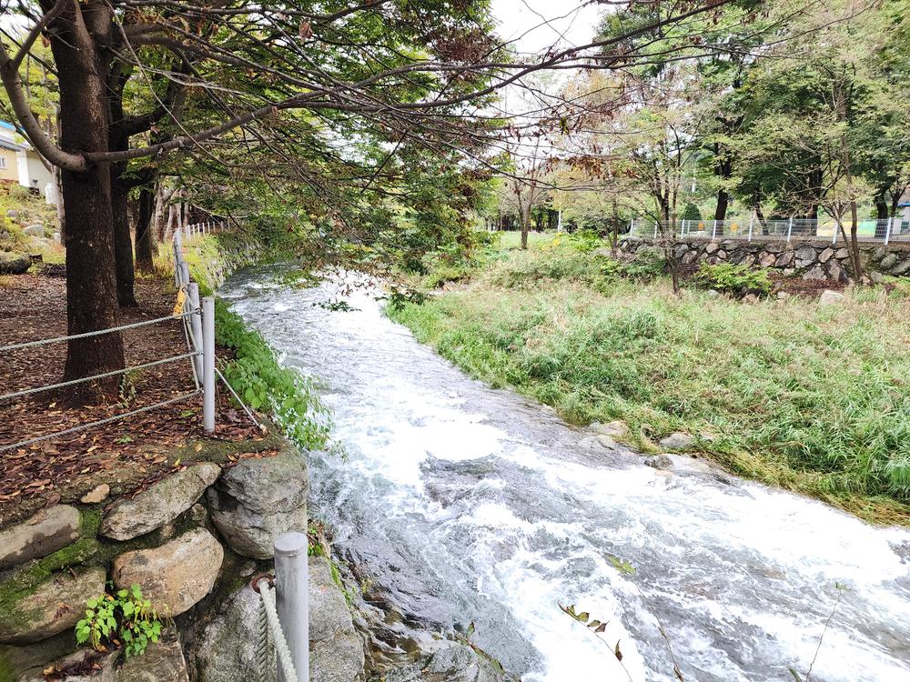 유명산밸리 캠핑장