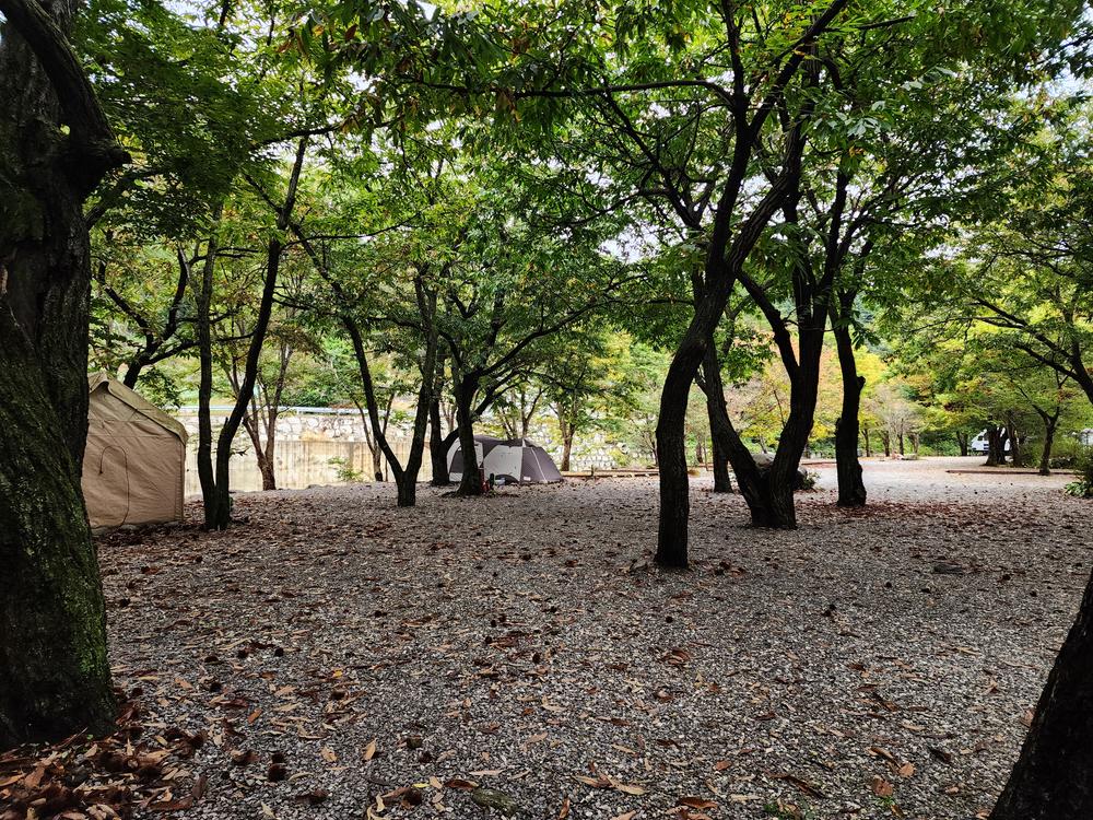 유명산밸리 캠핑장